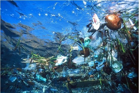 Océan de plastique : mystérieuse disparition