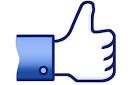 Facebook : « like » contre « dislike »