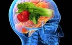 La Brain Food parle à votre cerveau